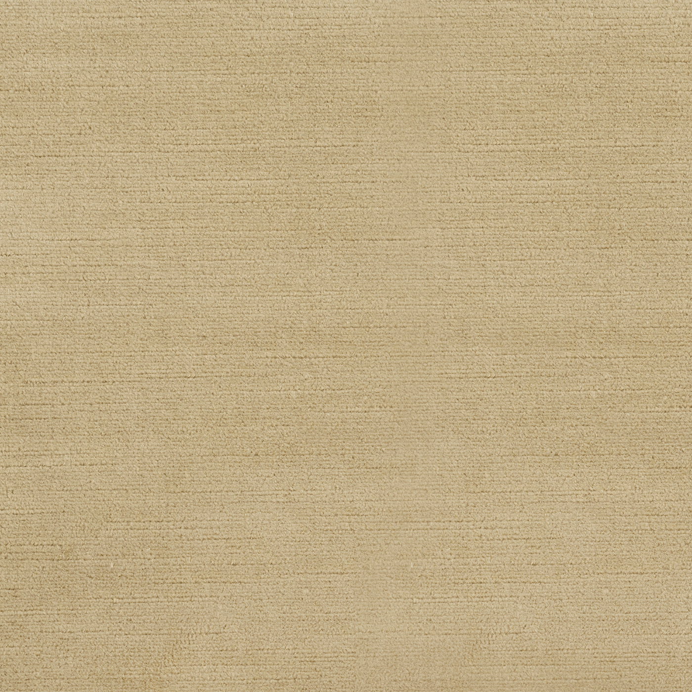 Venetian Linen Velvet Macadamia