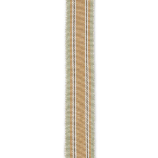 Folkloric Stripe Braid in Biscotti
