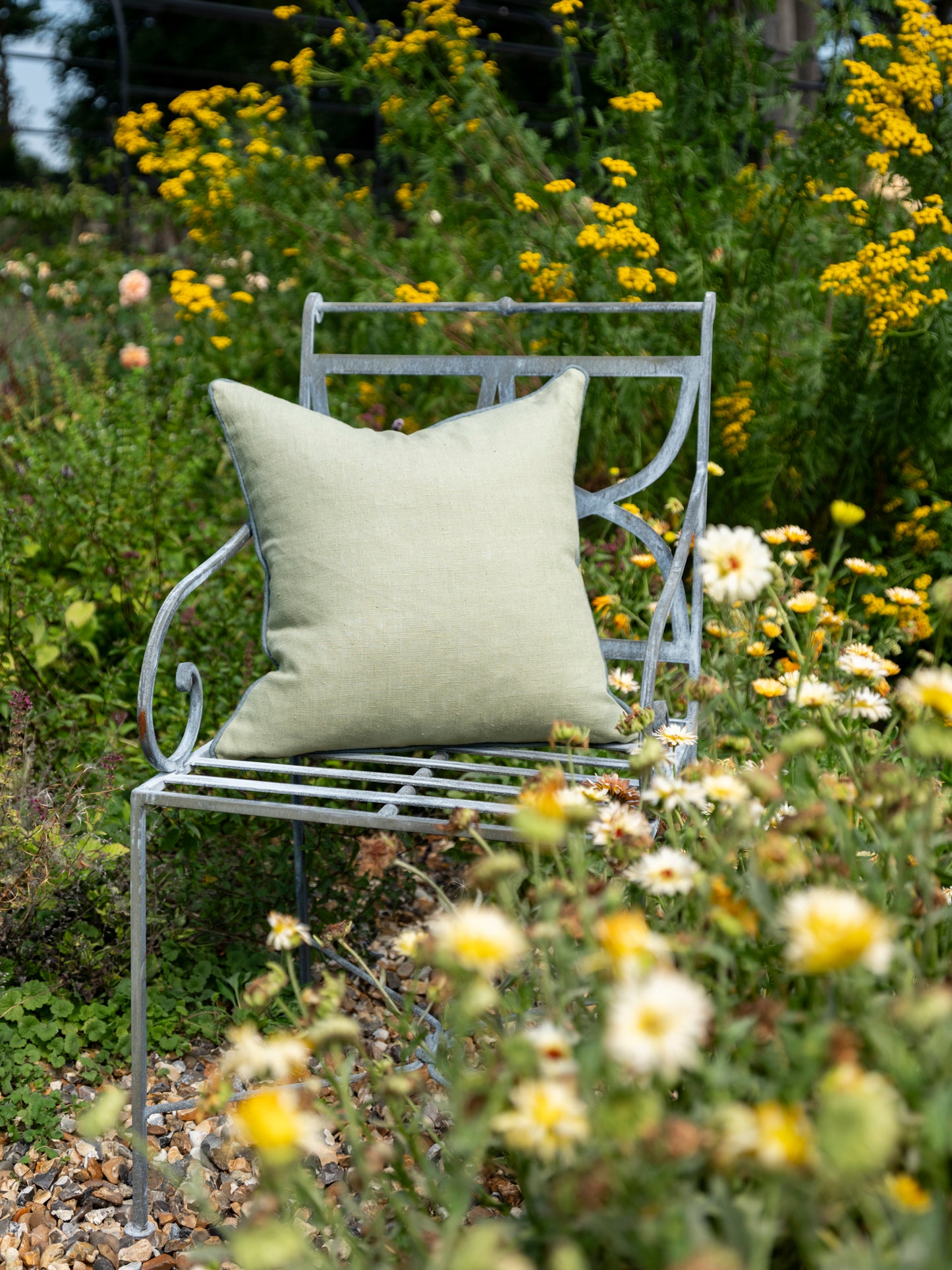 Eucalyptus Cushion with Teal Piping