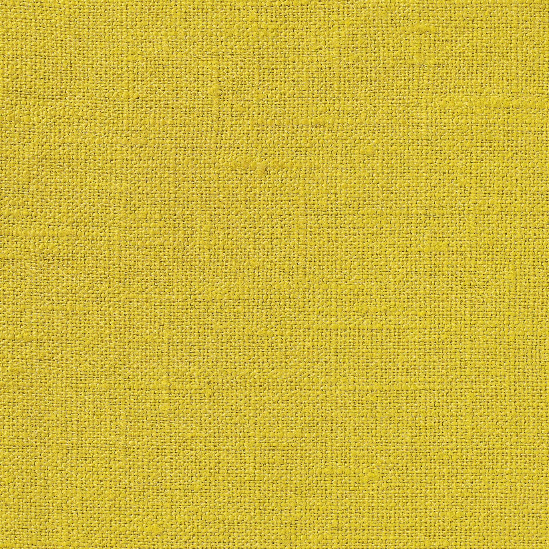 NEVA Plain Weave Linen - Volga Linen - Chinese Yellow